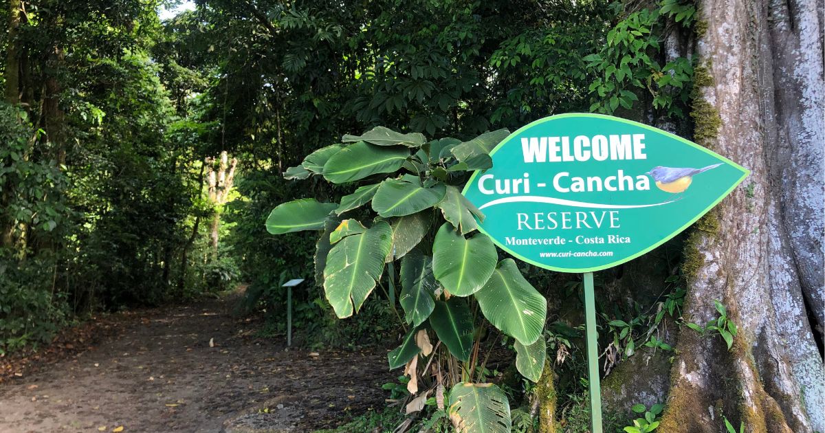 Curi Cancha banner Welcome to Curi Cancha