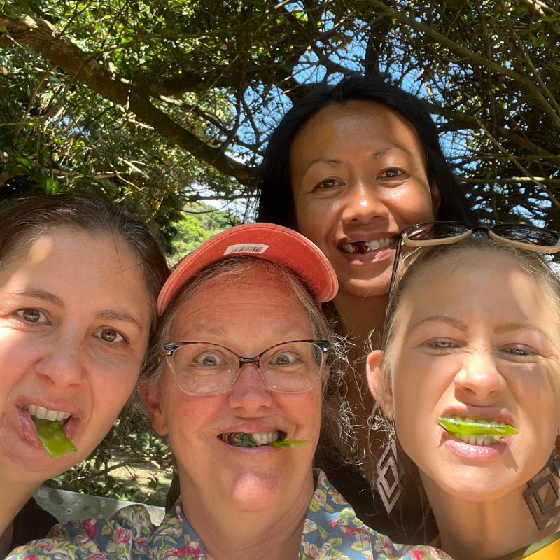 Salad club