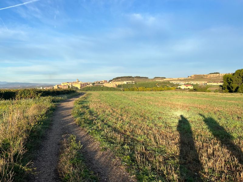 Logroño already in sight, though it'll still be some time to get there.
