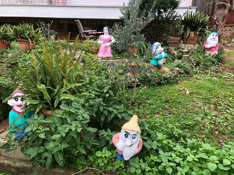 Fun/spooky lawn decorations