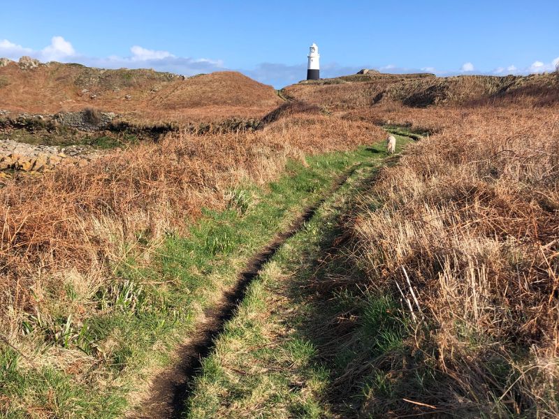 Coastal path to the lighthouse