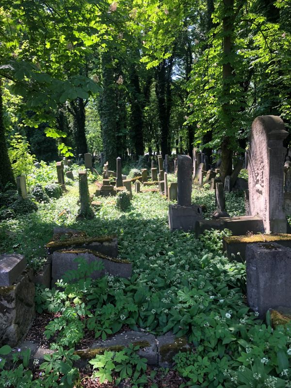 1 Jewish Cemetery just outside the old town walls