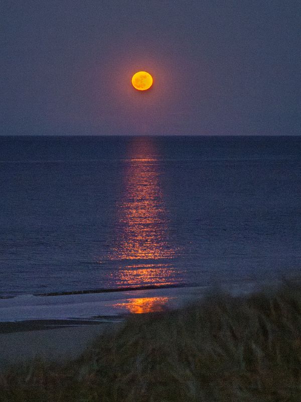 2 Moonrise over the Northumberland Straight (Galen's photo)