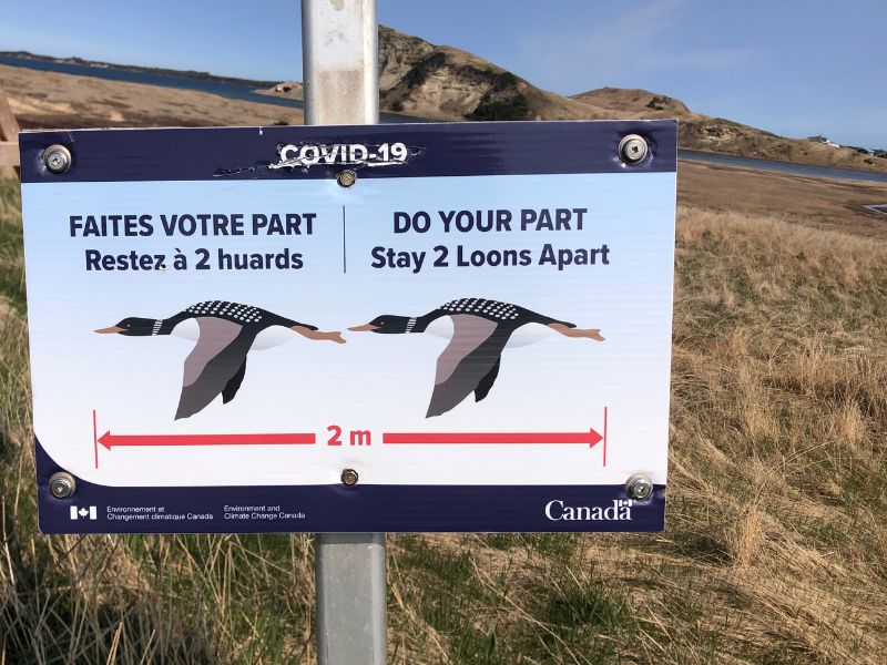 2 Historic COVID sign - Canadian style (most signs back then said "One hockey stick apart")