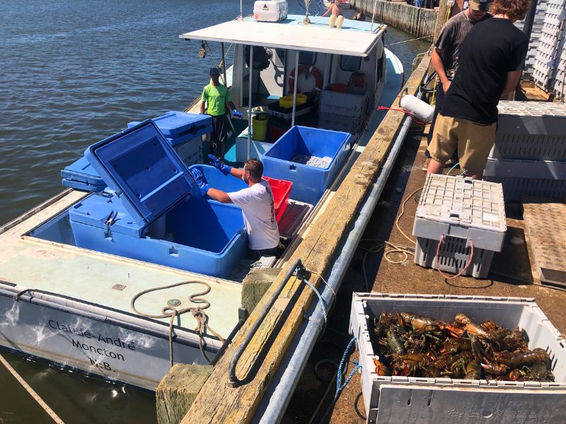 1:00 - Buy 27 lobsters directly from the boat