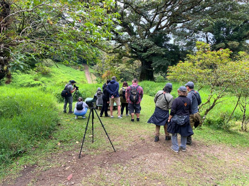 ...until we called the guides with their curious guests over.