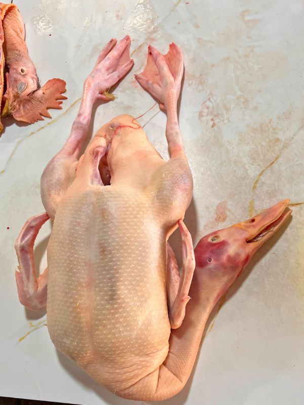 Every part of the duck is sacred