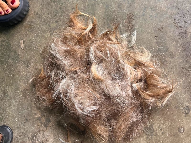 Broken rice - hair