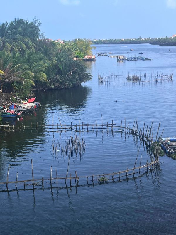 Broken rice - fish traps