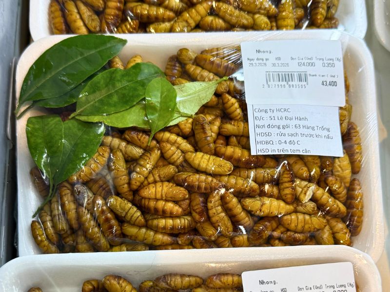 Hanoi in One Day - larvae