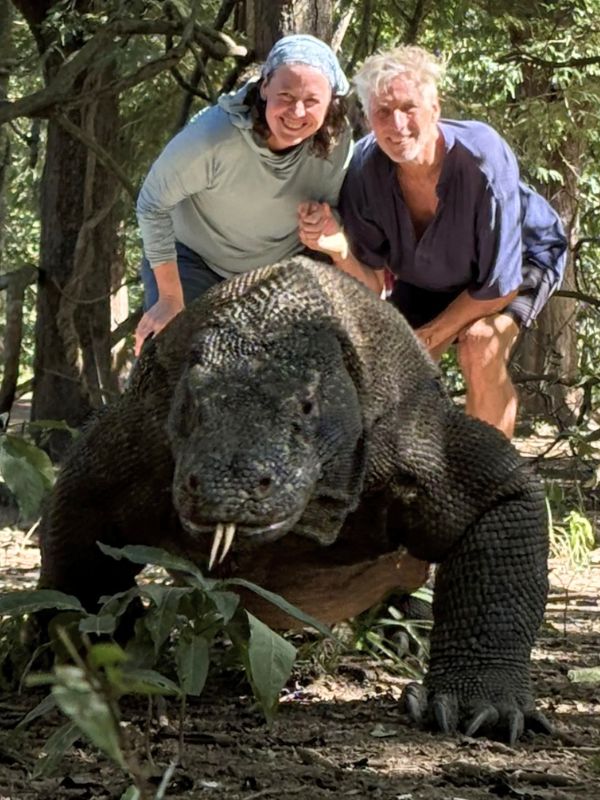 That's a real komodo dragon we're just behind!