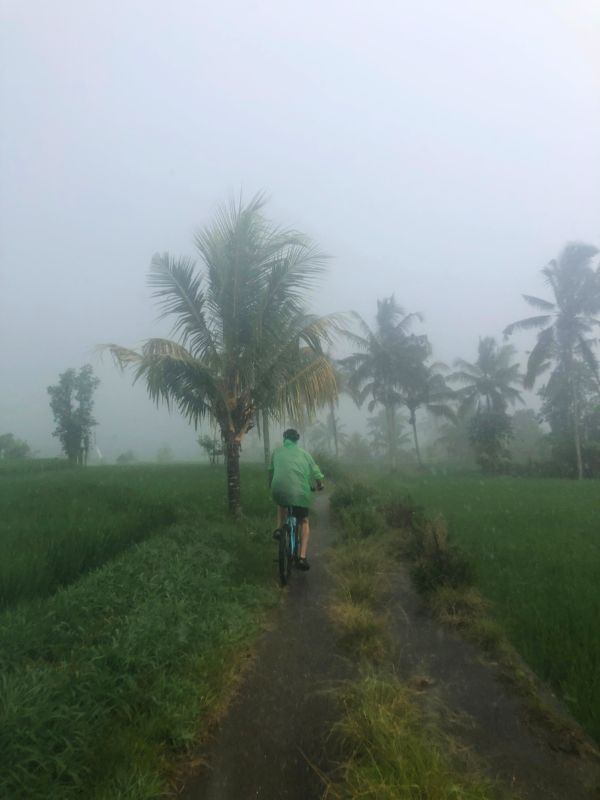 Rainy ride through the rice paddies