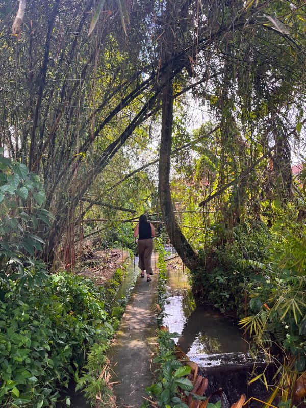 The walk from our first AirBnB to the café