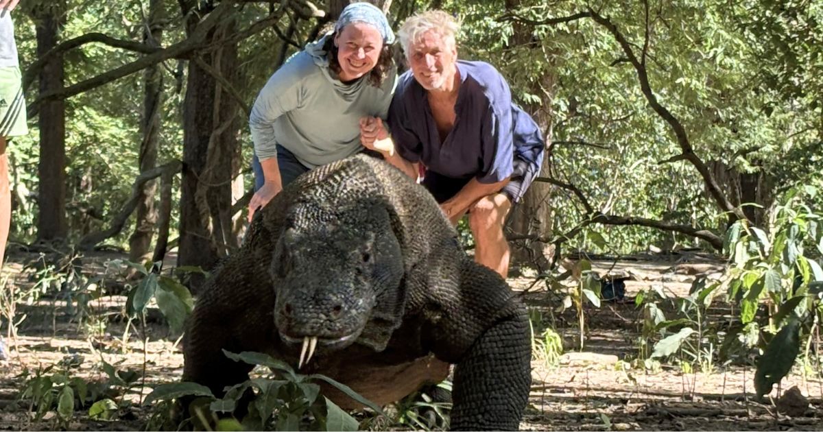 Komodo Dragon Boat Tour banner