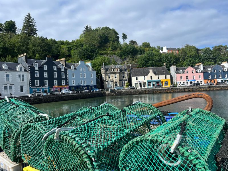 Tobermorey: 100 or so years ago, one inn-keeper painted his building bright pink to (a) attract customers, (b) help ships find him, and/or (c) support a friend's new paint store. Others followed suit, and now the whole waterfront is a protected historical colour zone