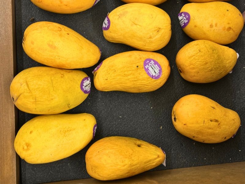 Shrivelled imported mango