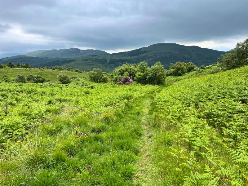 Hiking inland on the Isle of Mull during our 3 weeks in Scotland