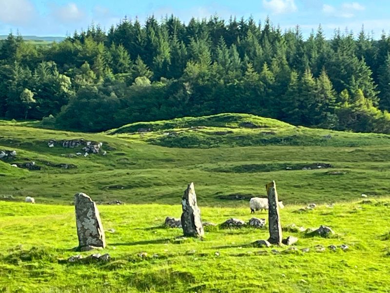 Ancient standing stones below the castle