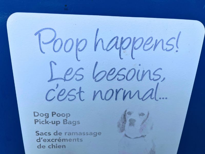 Fun translations. Poop happens = Needs are normal.