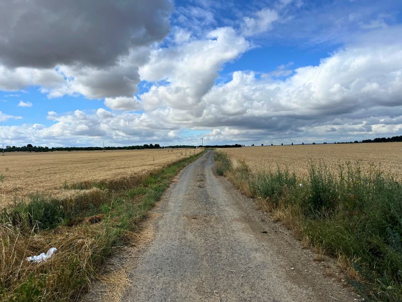Jogging in the French countryside
