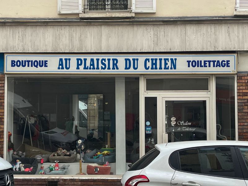 Even dogs get their own toiletries pleasure palace