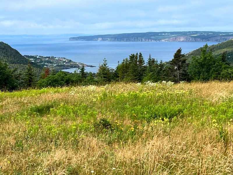 Killick Ecovillage overlook