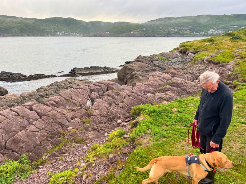 Dog walk around Petty Harbour