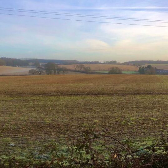 Austen banner
