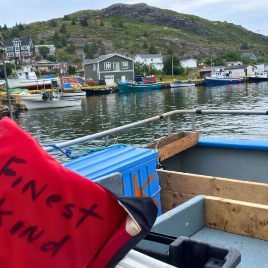 Newfoundland - Finest Kind